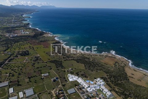 Пентхаус с 3 спальнями в Bao Thuan, Вьетнам №12485 18