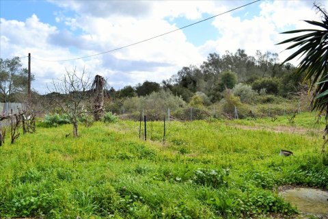 220m² House in Corfu, Greece No. 56616 28