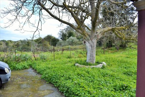 220m² House in Corfu, Greece No. 56616 24