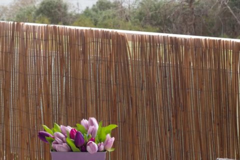 3 bedrooms Maisonette in Saronida, Greece No. 124105 7