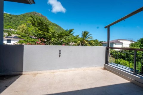 3 bedrooms Villa in Tamarin, Mauritius No. 107182 20