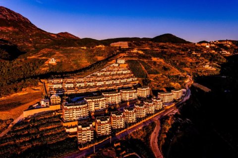 5 rooms Villa in Lien Chieu, Vietnam No. 20850 5