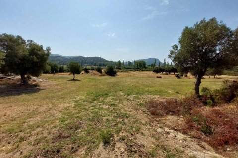 4050m² Land in Chalkidiki, Greece No. 109356 9