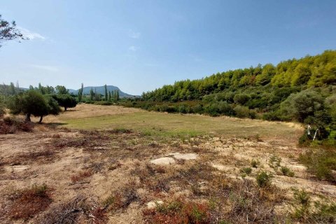 4050m² Land in Chalkidiki, Greece No. 109356 11