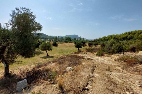 4050m² Land in Chalkidiki, Greece No. 109356 12