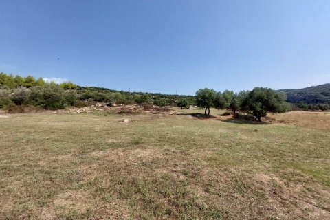 4050m² Land in Chalkidiki, Greece No. 109356 10