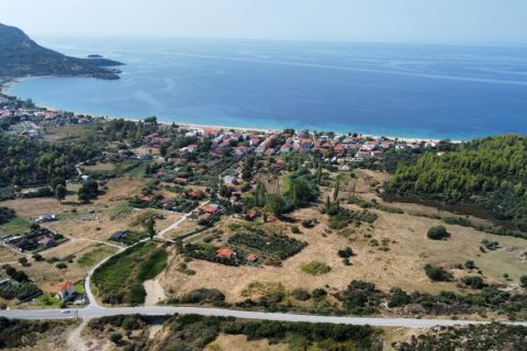 4050m² Land in Chalkidiki, Greece No. 109356 8