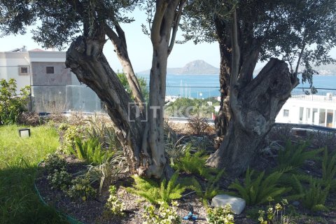 4 bedrooms Villa in Phi Dien, Vietnam No. 83084 20