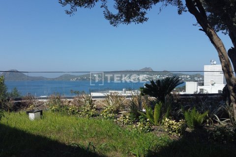 4 bedrooms Villa in Phi Dien, Vietnam No. 83084 27