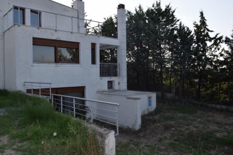 5 chambres Villa à Thessaloniki, Greece No. 50864 2