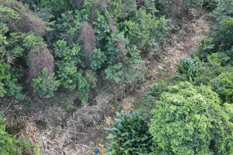 2591m² Land à Loubiere, Dominica No. 66241 18