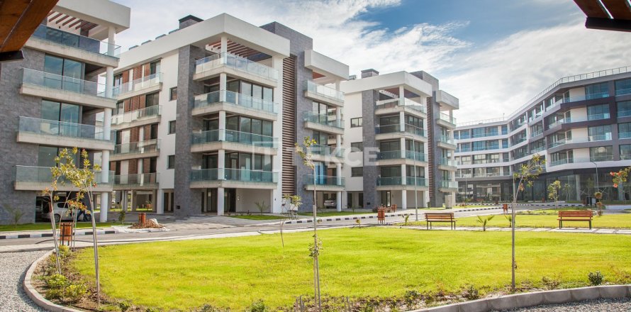 2 bedrooms Penthouse in Tan Thuy, Vietnam No. 113734