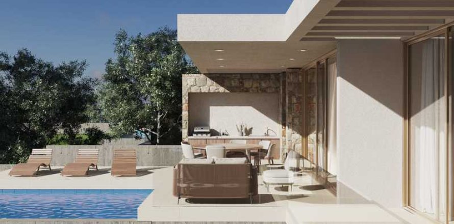 Дом с 4 спальнями в Пейя, Кипр №100565