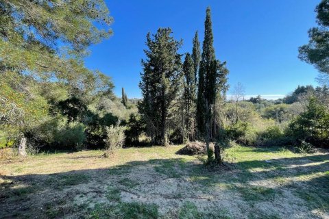 466m² Villa in Corfu, Greece No. 55612 25