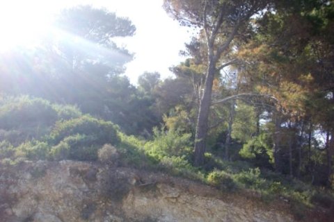 Land in Zakynthos, Greece No. 24508 2