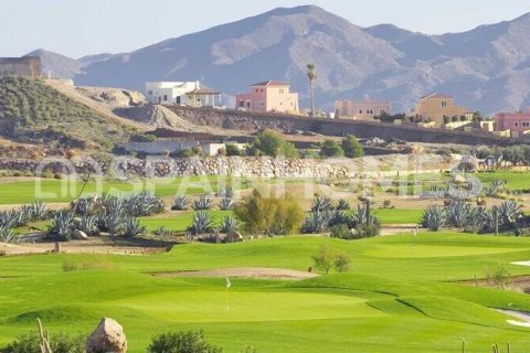 4 bedrooms Villa in Phu Yen, Vietnam No. 76693 5