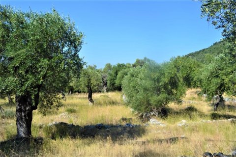 5000m² Land in Corfu, Greece No. 56520 8