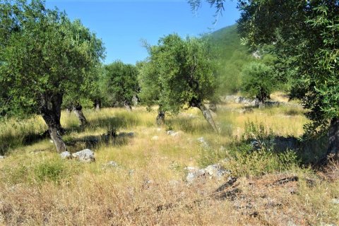5000m² Land in Corfu, Greece No. 56520 5