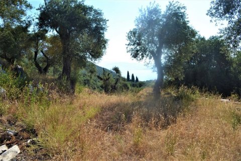 5000m² Land in Corfu, Greece No. 56520 9