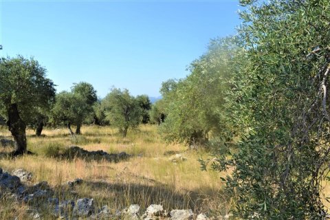 5000m² Land in Corfu, Greece No. 56520 2