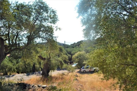 5000m² Land in Corfu, Greece No. 56520 10