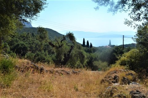 5000m² Land in Corfu, Greece No. 56520 1