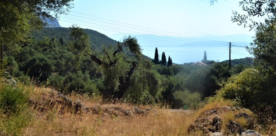 5000m² Land in Corfu, Greece No. 56520