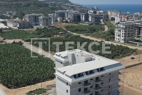 2 chambres Penthouse à Chau Lang, Vietnam No. 21730 22