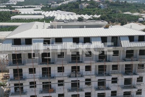 2 chambres Penthouse à Chau Lang, Vietnam No. 21730 24