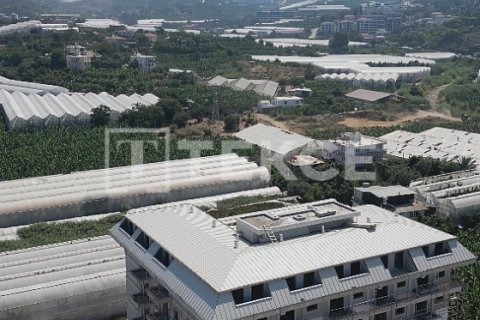 2 chambres Penthouse à Chau Lang, Vietnam No. 21730 21