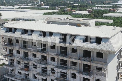 2 chambres Penthouse à Chau Lang, Vietnam No. 21730 23