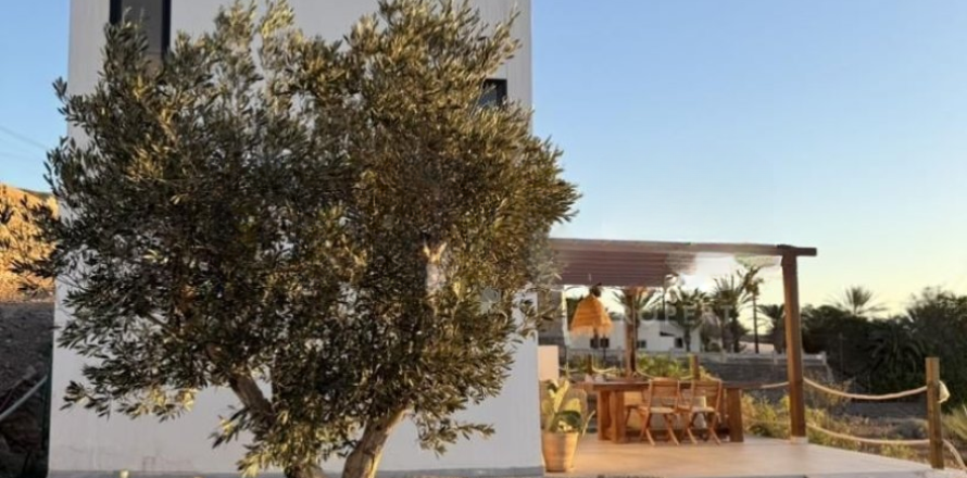 2 chambres Villa à Tenerife, Spain No. 128386