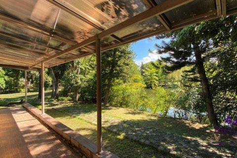 Commercial property en Chiang Mai, Thailand No. 97694 16