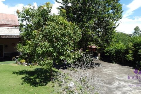 Commercial property en Chiang Mai, Thailand No. 97694 4