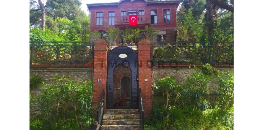 5 dormitorios Villa en Adalar, Turkey No. 115444