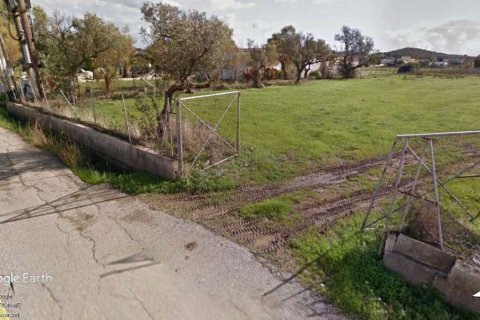 Hotel in Zakynthos, Greece No. 104864 6