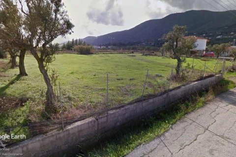 Hotel in Zakynthos, Greece No. 104864 7