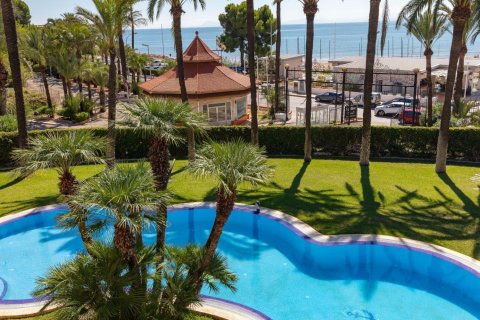 Studio House in Cullera, Spain No. 124551