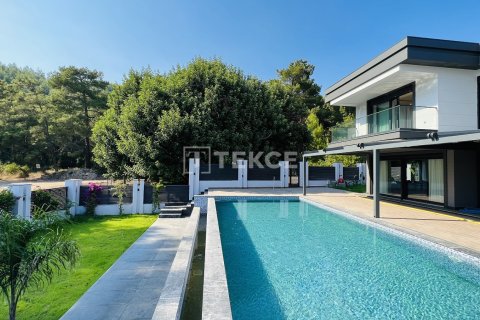 4 bedrooms Villa in Nenh, Vietnam No. 20799 3