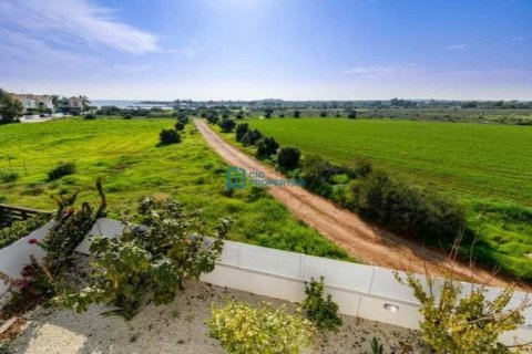 4 bedrooms Villa in Ayia Napa, Cyprus No. 82658 15