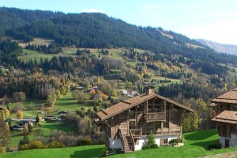 5 bedrooms House in Demi-Quartier, France No. 100101 5