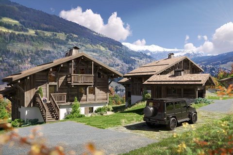 5 bedrooms House in Demi-Quartier, France No. 100101 2