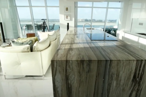 Пентхаус с 4 спальнями в Бечо Американ Сити Фаза 1, Вьетнам №10501 11