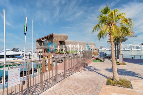 Пентхаус с 4 спальнями в Бечо Американ Сити Фаза 1, Вьетнам №10501 19