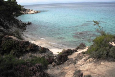 32000000m² Land in Chalkidiki, Greece No. 59539 5