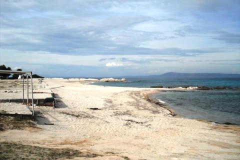 32000000m² Land in Chalkidiki, Greece No. 59539 6