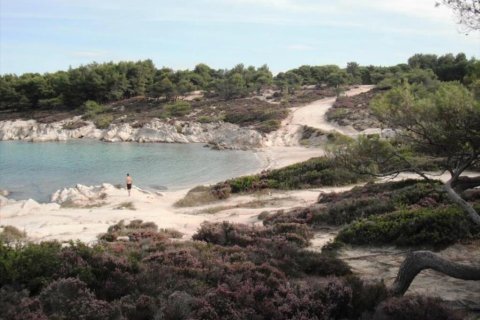 32000000m² Land in Chalkidiki, Greece No. 59539 4