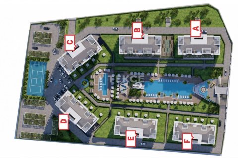 2 bedrooms Apartment in Chau Lang, Vietnam No. 10966 13