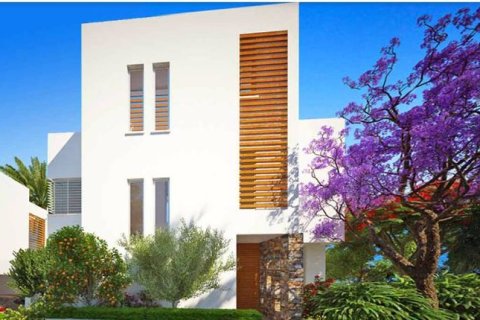 Вилла с 4 спальнями в Героскипу, Кипр №36846 8