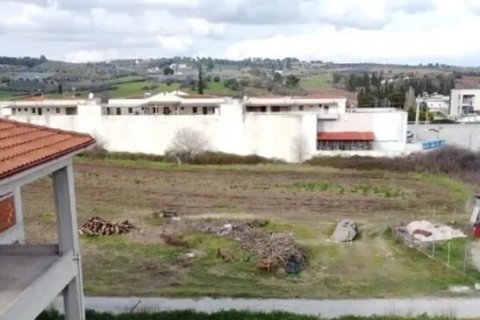 Здание 280м² в Халкидики, Греция №108141 6